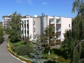 Гостиница Hotel Complex Vizit  Козин